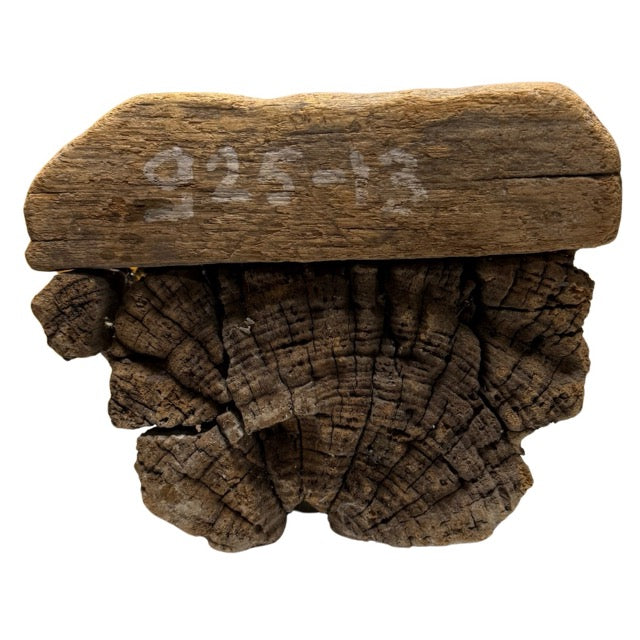 925-13 is the museum or inventory number of this Buddha