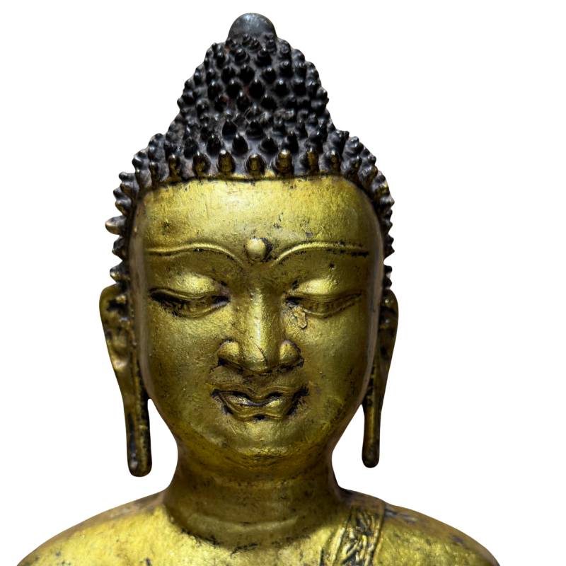Luxury Asian antique cast iron Buddha museum quality