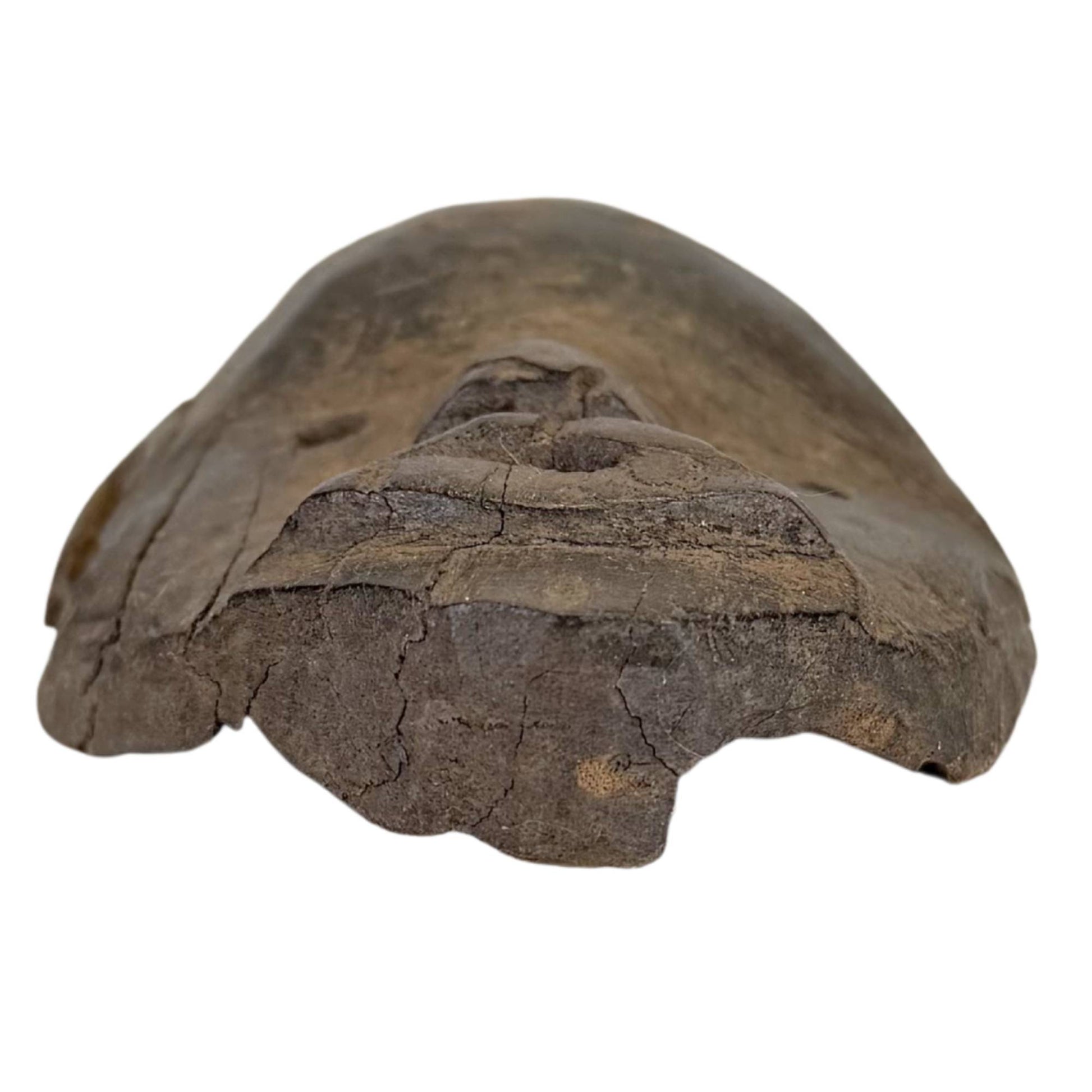 African wooden mask with open mouth and deep eye openings