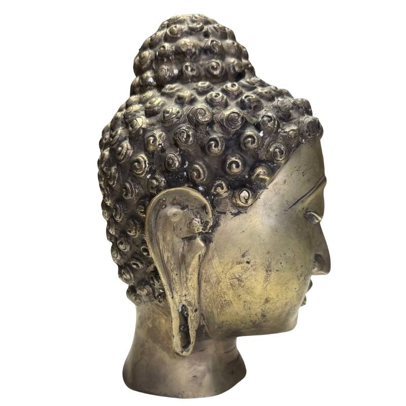 Left side view of the bronze Buddha head, with emphasis on the characteristic long earlobes.