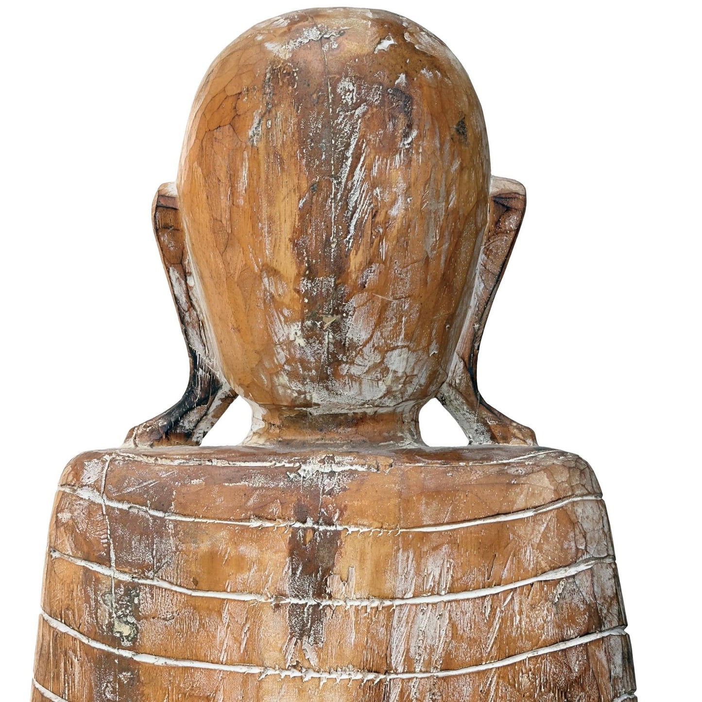 Gros plan de l'arrière de la tête montrant le grain du bois sombre intact et les contours anatomiques caractéristiques.
