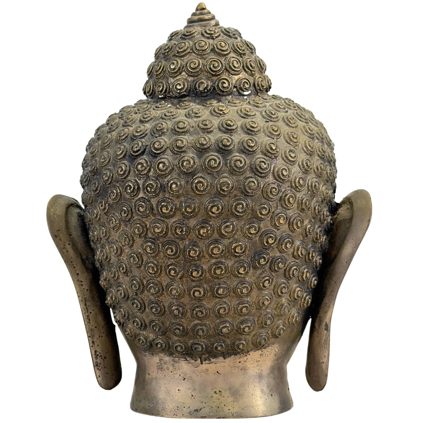 Rear view of the brass-bronze Buddha head with the opaque structure of the spiral hair curls.