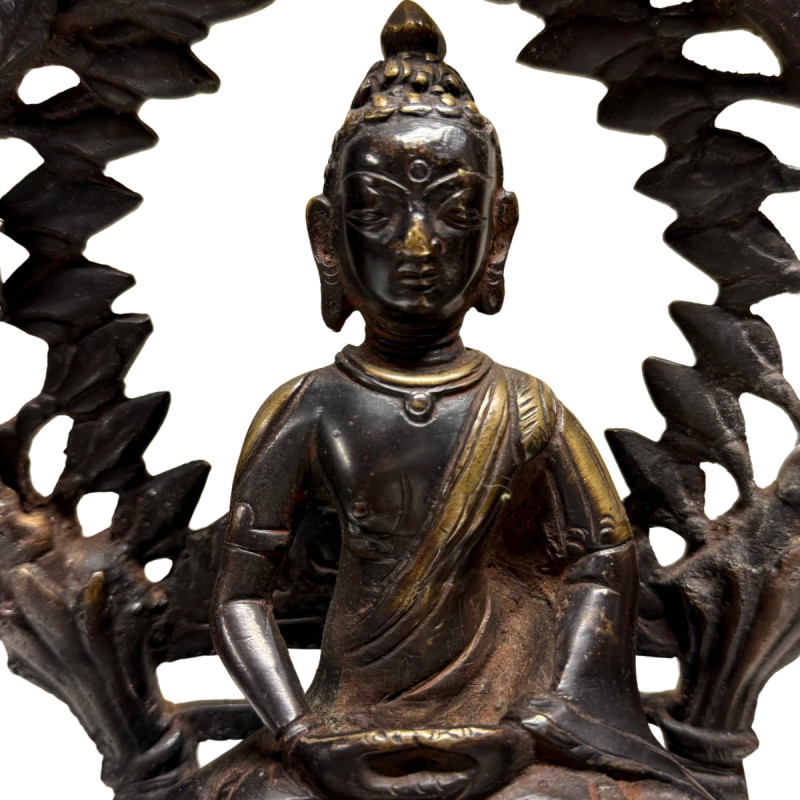 Antique bronze Buddha from the Himalayas with fire gilding and halo