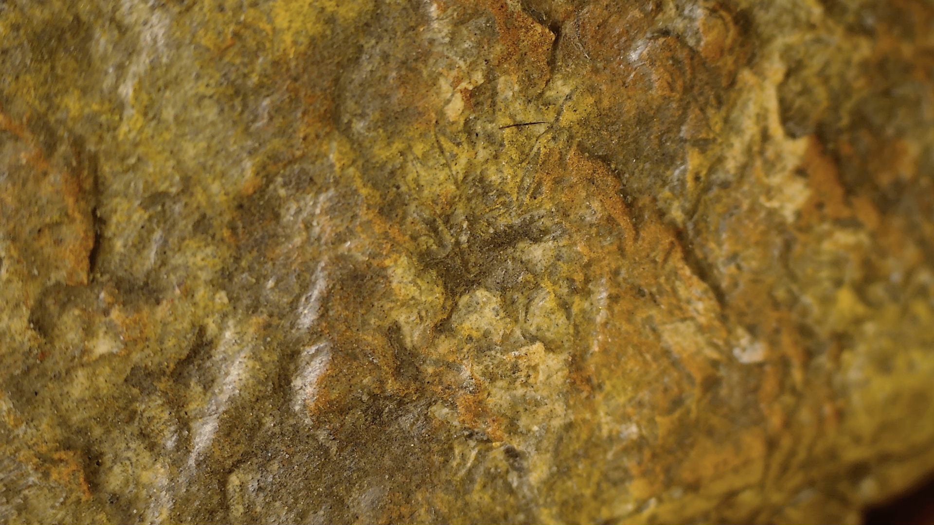 Microscopisch detail van gele oppervlakteresten op de antieke Chinese Guanyin stele