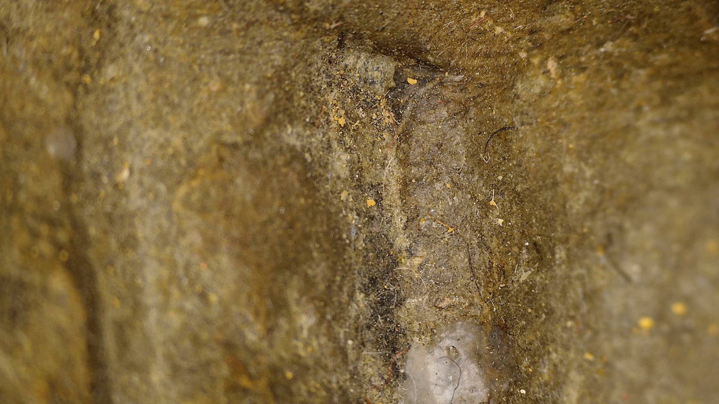 Microscopisch detail van gele stippen en oude oppervlakteresten op de Chinese Guanyin stele