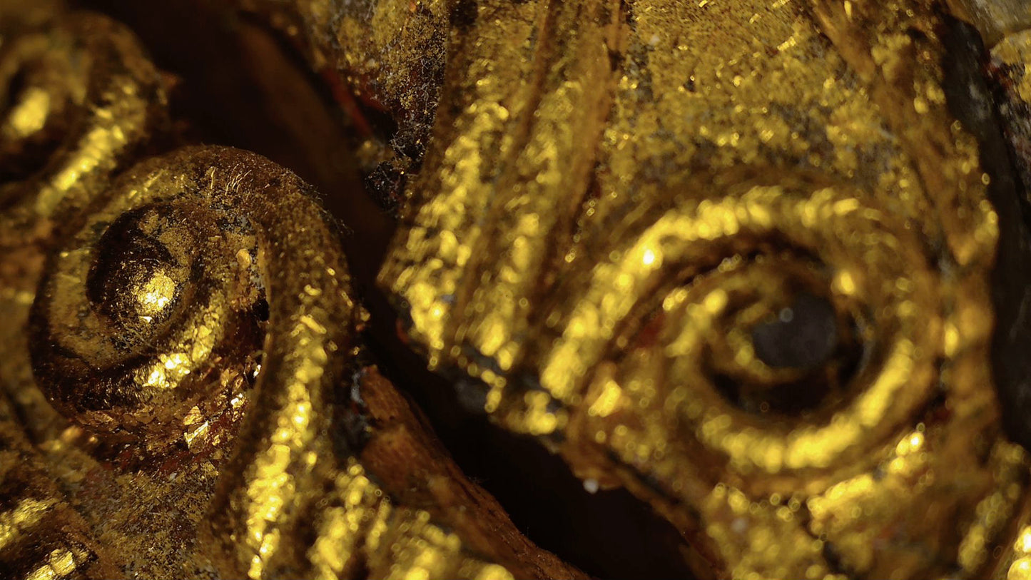 Microscope detail of gilded spiral ornaments on the robe