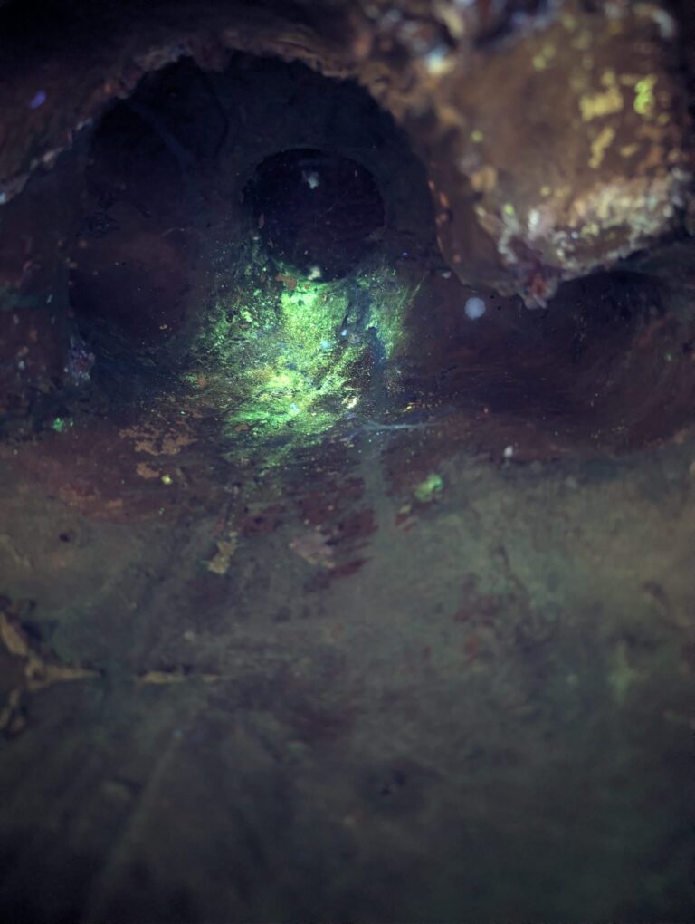 Antique Buddha viewed with a UV lamp.