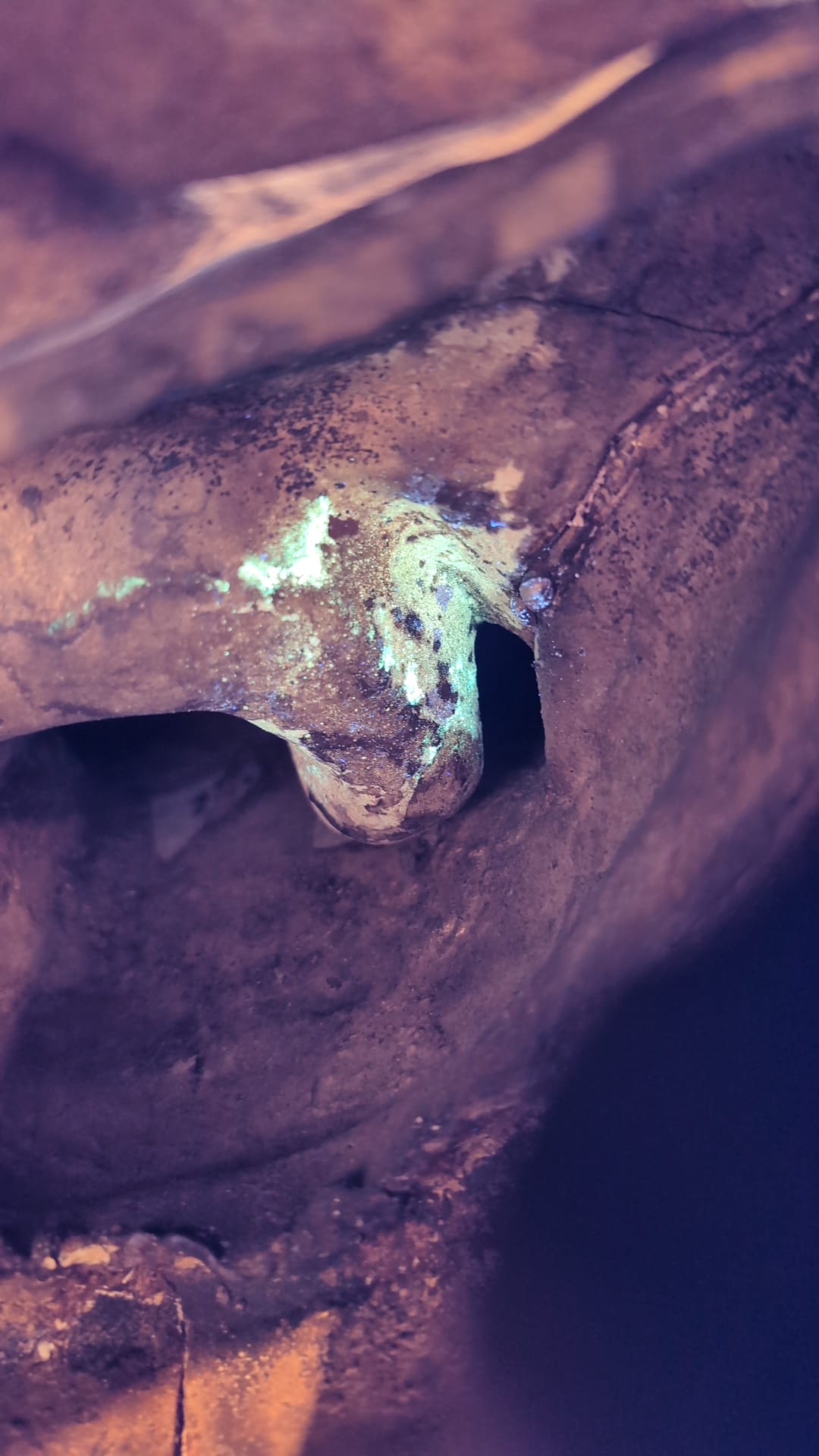 UV lamp test on old bronze