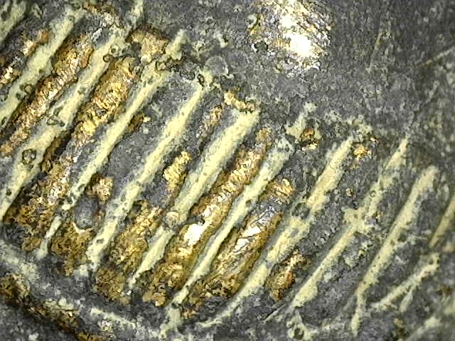 Close-up of the petrified casting core surrounding the gold filling, showing the organic transition and mineralization without modern binders.