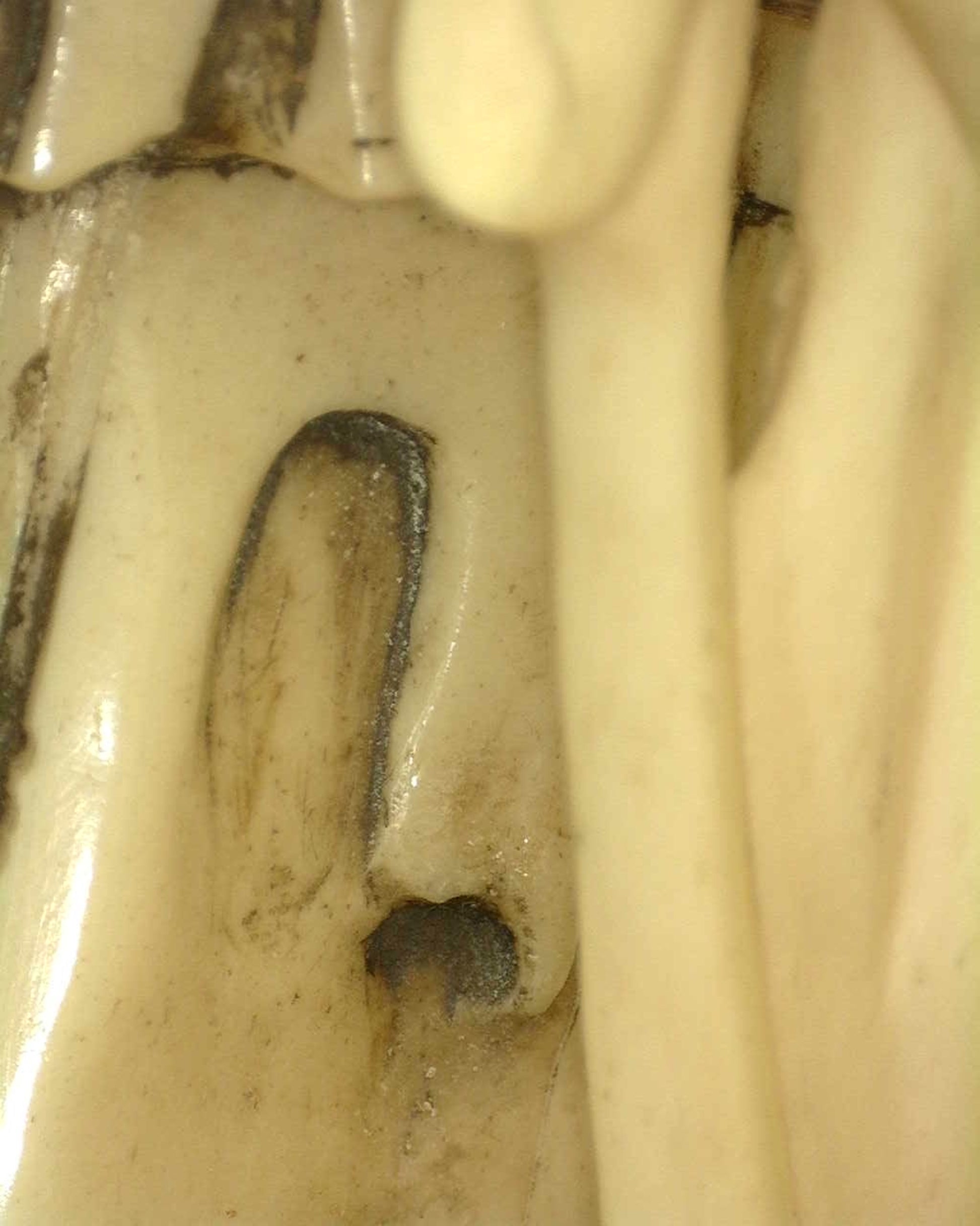 Chinese voorstelling van Guanyin Avalokiteshvara uit de late Qing-periode