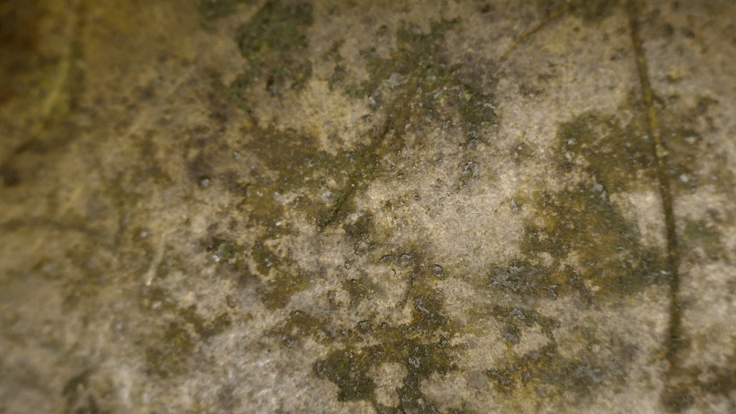 Microscoopdetail van de gelaagde patina op een 18e-eeuwse Indo-Perzische huqqa