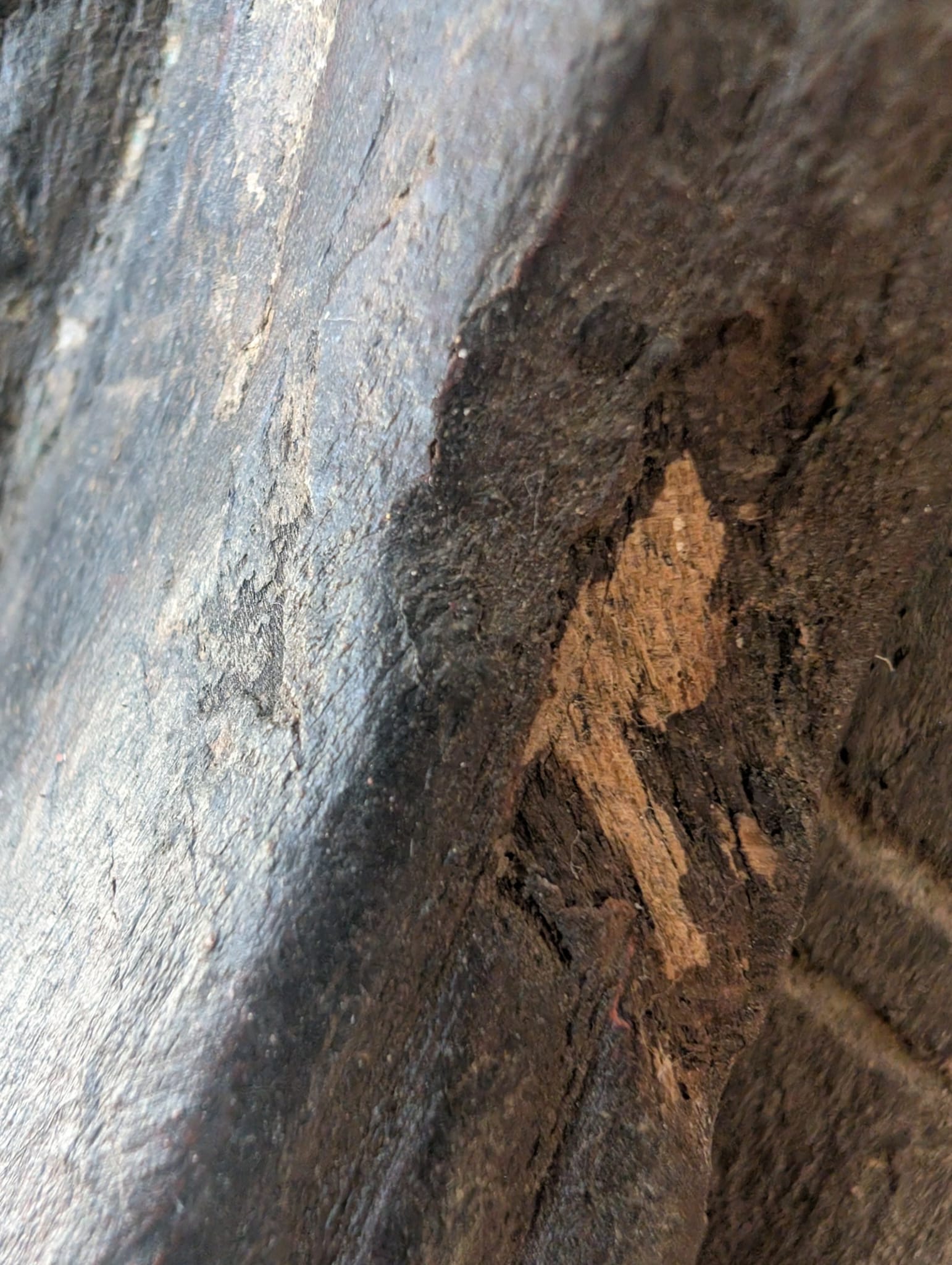 Detail of a wooden Lakshmi statue from Nepal with remnants of polychromy visible in the depth of the surface.