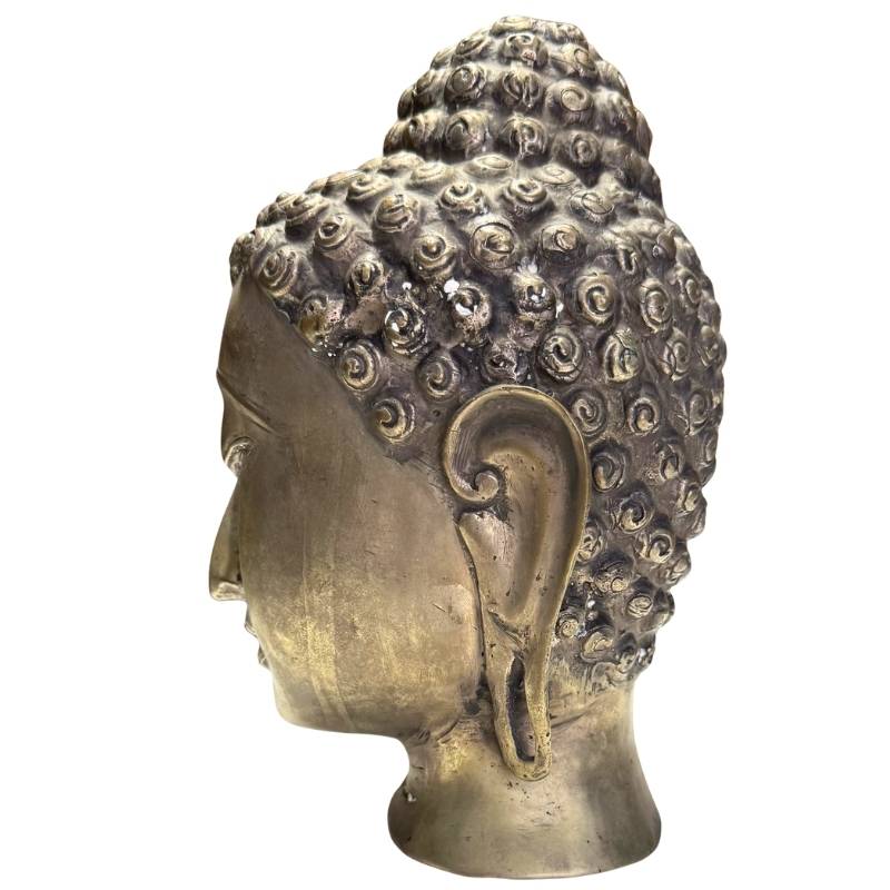 Right profile of the Buddha head illustrating the refined facial features and mold.