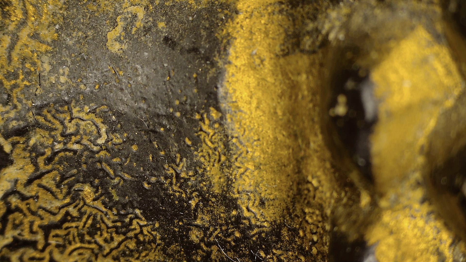 Microscope detail of craquelure and gilding on the Burmese figure