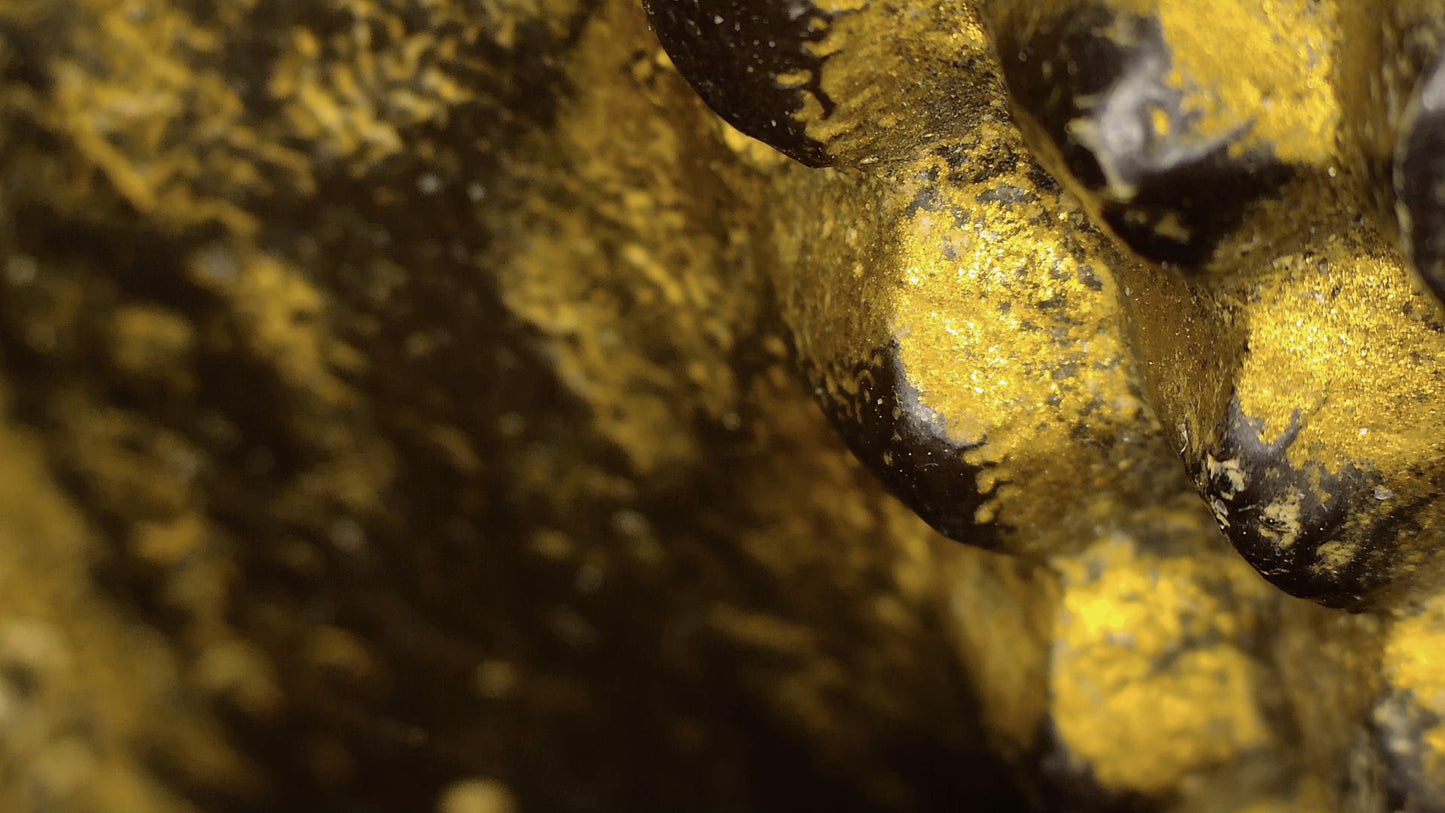Microscope image of the old gold-coloured finish on the face