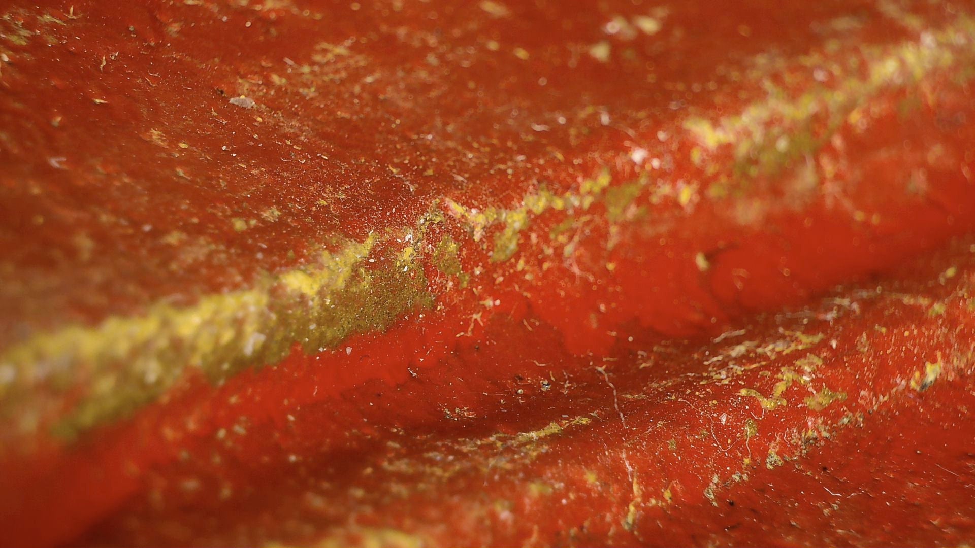 Microscope image of the red lacquer layer with scattered gilding remnants