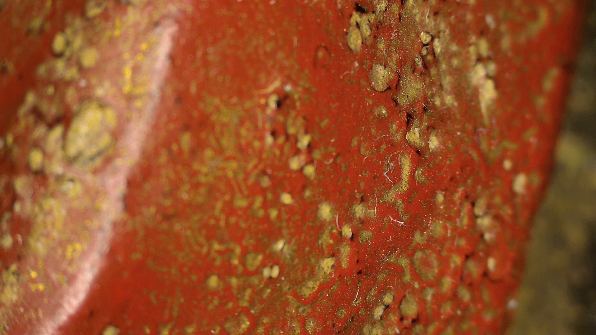 Microscope image of red polychromy and old surface wear