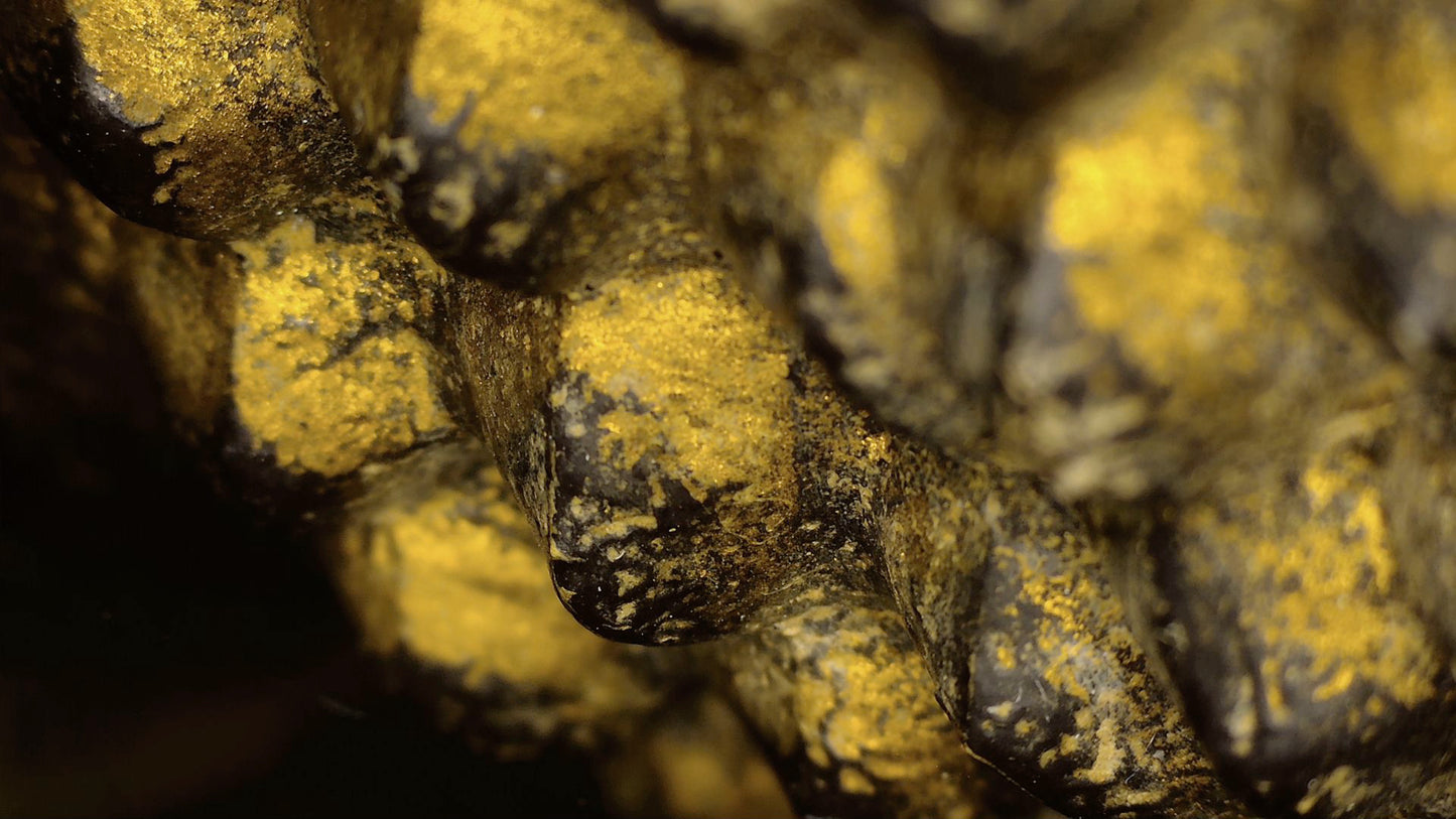 Microscope detail of gilding remnants between the carved hair curls