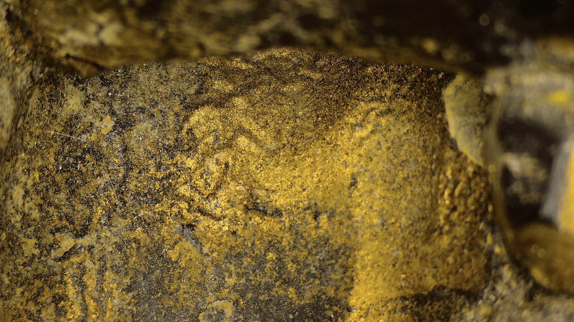 Microscope image of old gilding remnants on the black lacquer