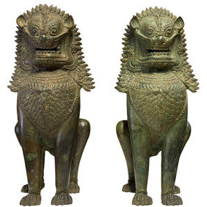 Paire de lions monumentaux du temple Singha - Gardiens de maison très anciens - Bronze de 7,4 kg