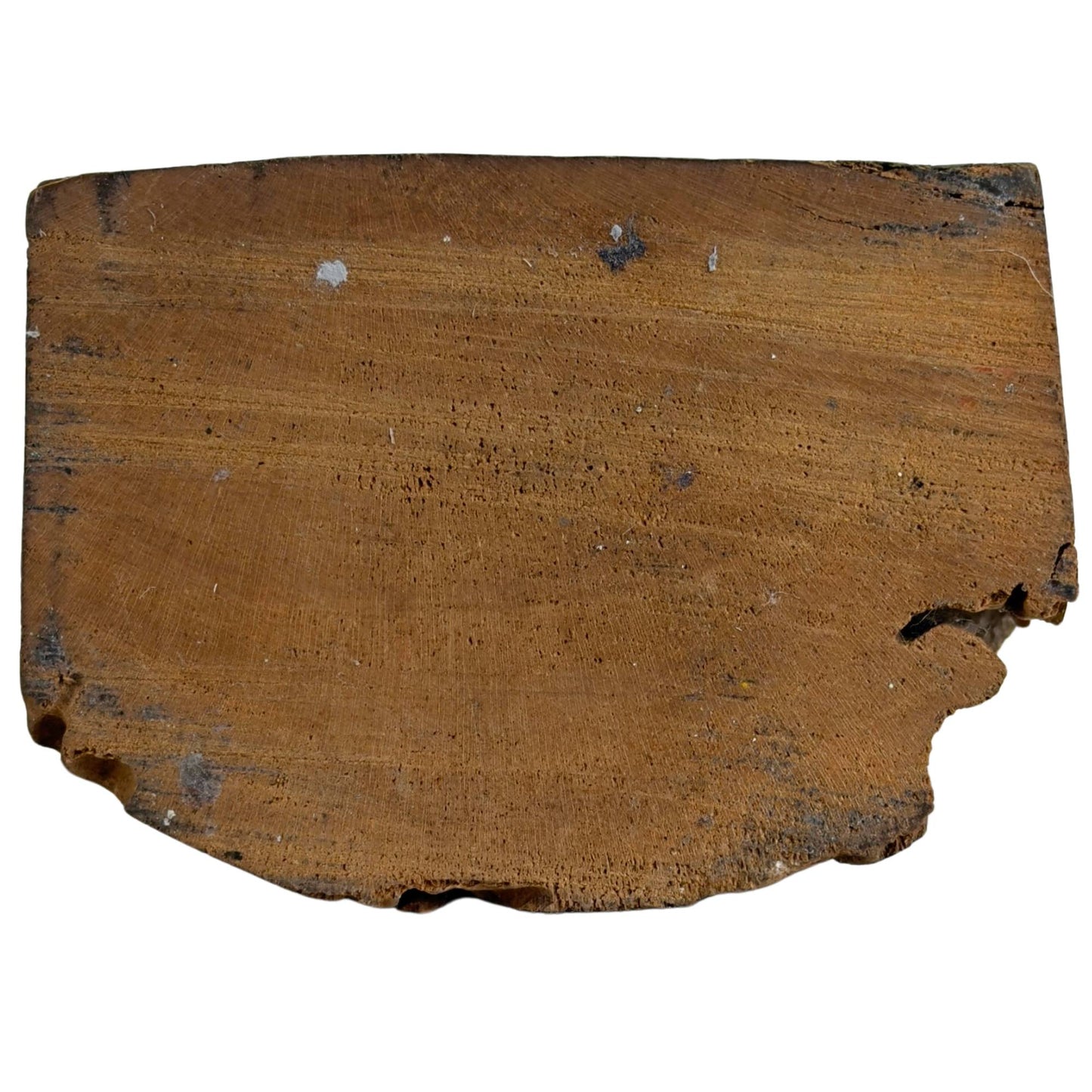 Bottom of wooden Lanna Buddha with old drying cracks, dark patina, and hand-carved teak wood structure.