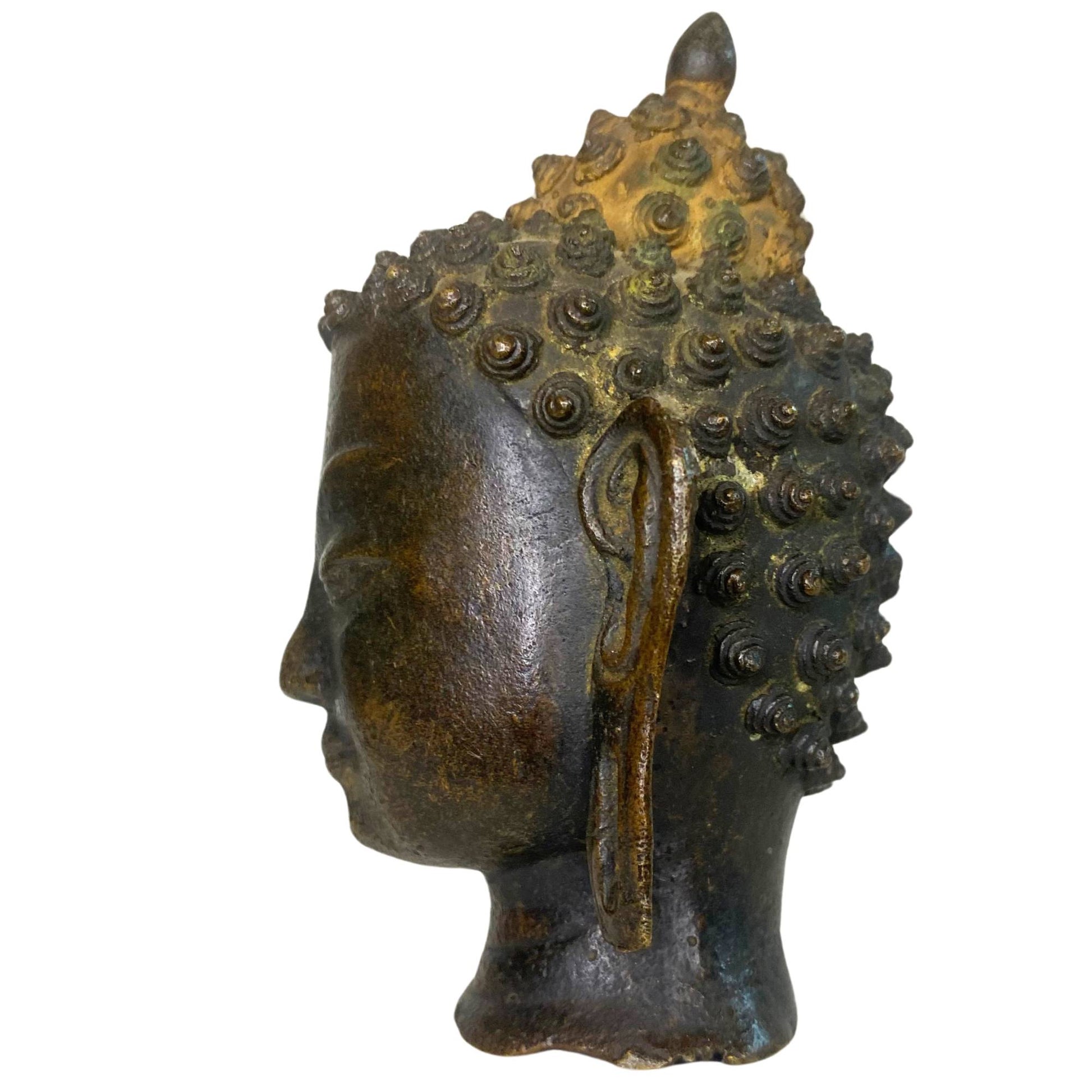 Side view of the left side shows the flowing lines of the face and the ear.