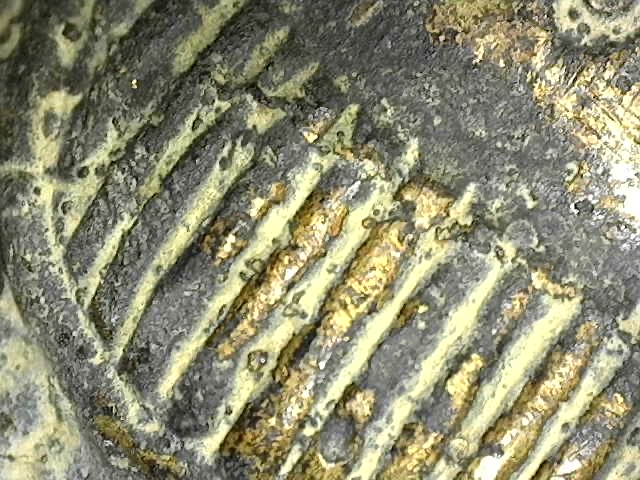 Dino-Lite inclusion of the golden ritual deposit in the core; shows no reaction to acetone, which confirms the presence of pure precious metal.