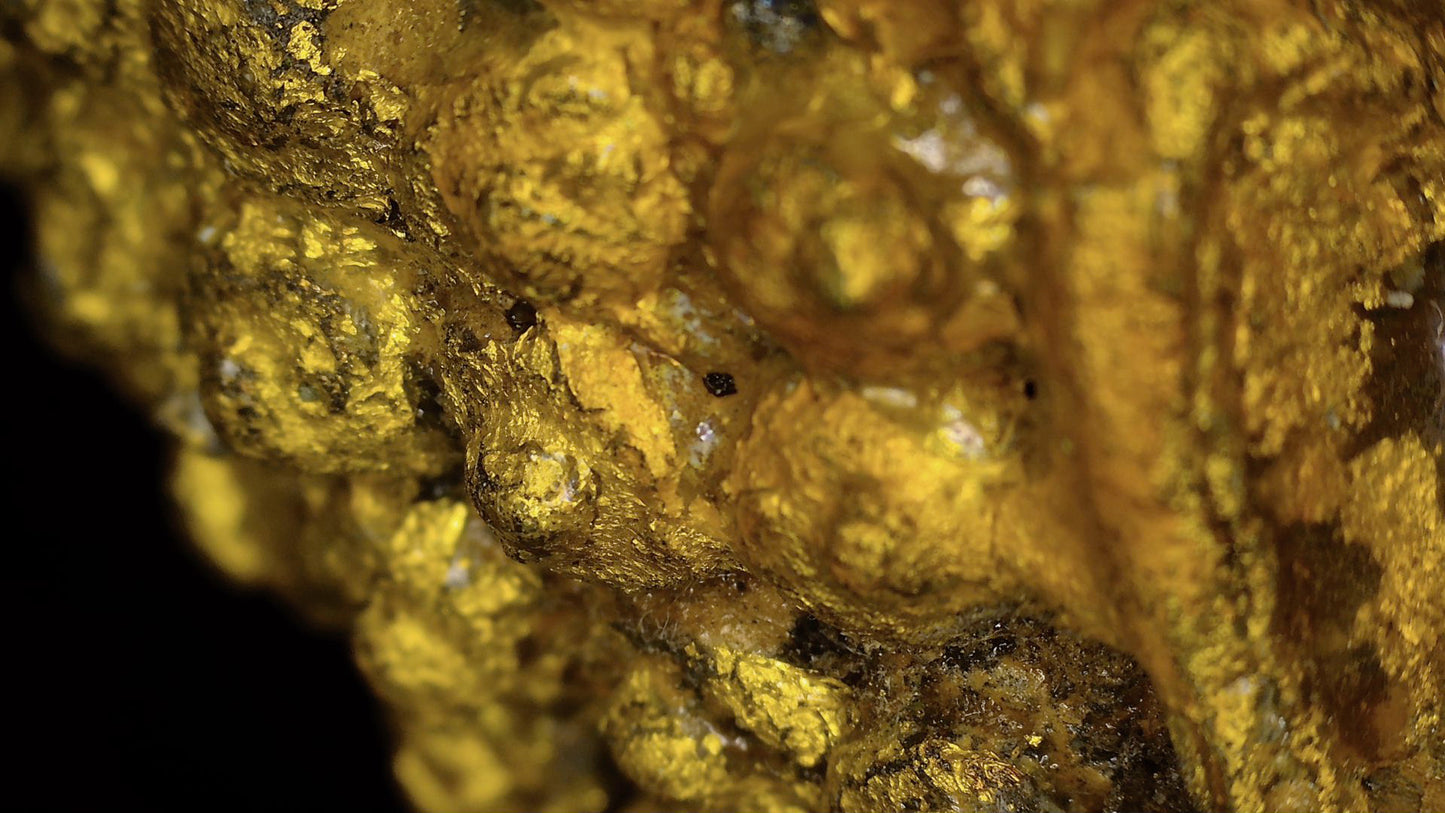 Macro-détail de la dorure, du fond laqué, de la patine et de l’état du Bouddha d’Ayutthaya, SKU 740 – détail 1