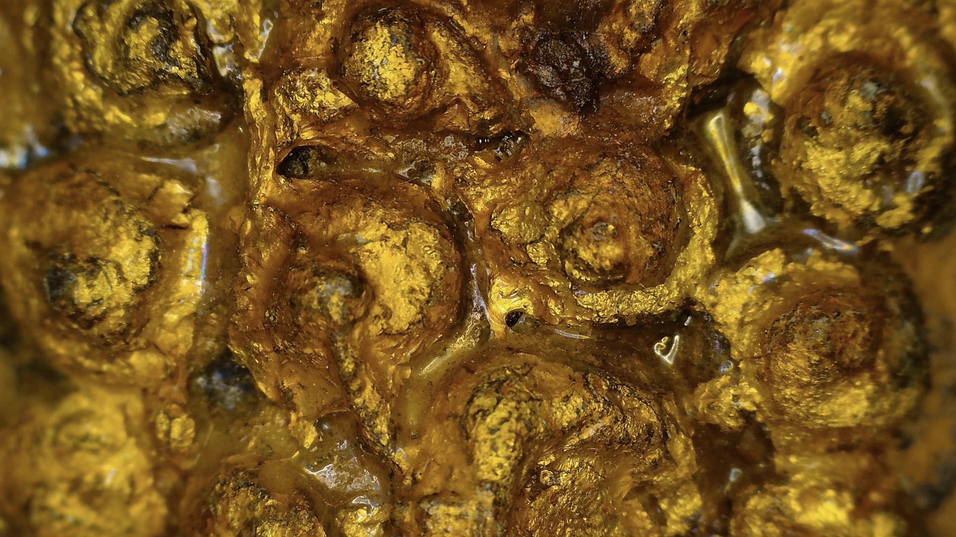 Macro-détail de la dorure, du fond laqué, de la patine et de l’état du Bouddha d’Ayutthaya, SKU 740 – détail 2