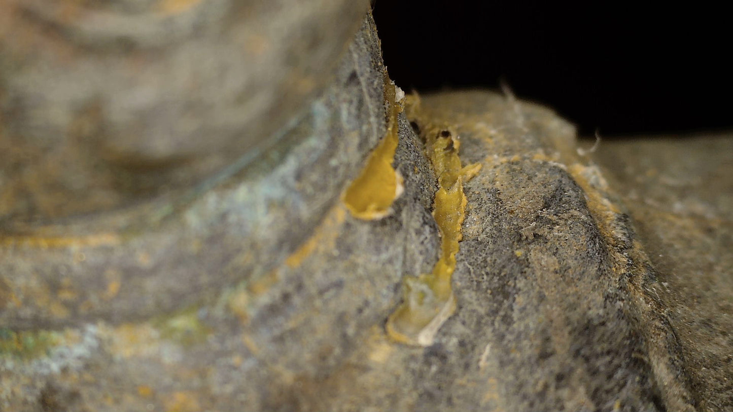 Macro-détail de la dorure, du fond laqué, de la patine et de l’état du Bouddha d’Ayutthaya, SKU 740 – détail 4