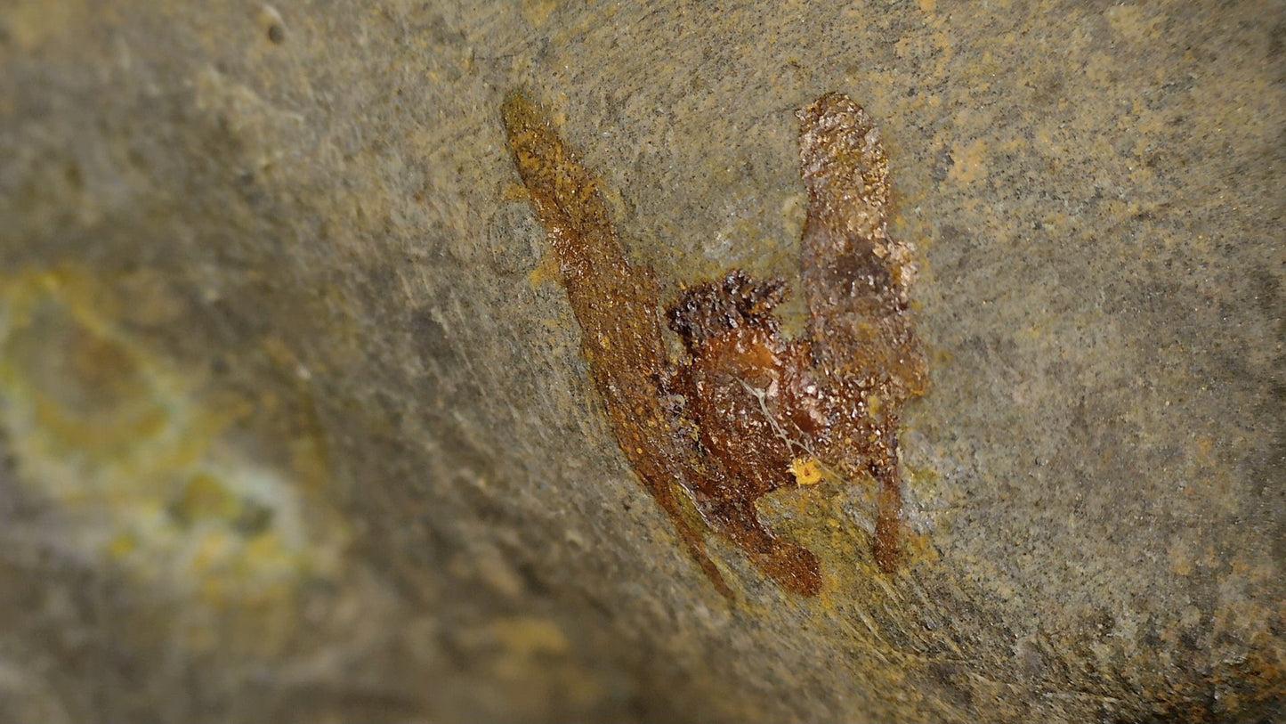Macro-détail de la dorure, du fond laqué, de la patine et de l’état du Bouddha d’Ayutthaya, SKU 740 – détail 5