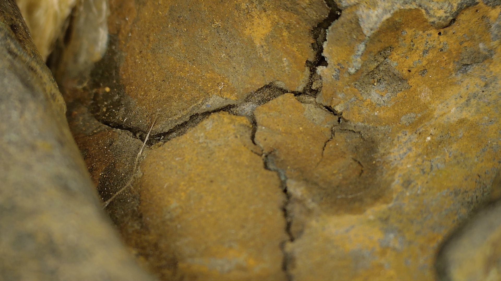 Macro-détail de la dorure, du fond laqué, de la patine et de l’état du Bouddha d’Ayutthaya, SKU 740 – détail 6