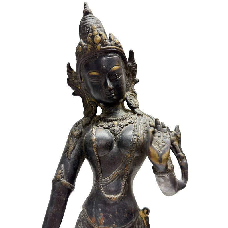 Close-up of the mudra (hand gesture) and the decorations of the Tara.