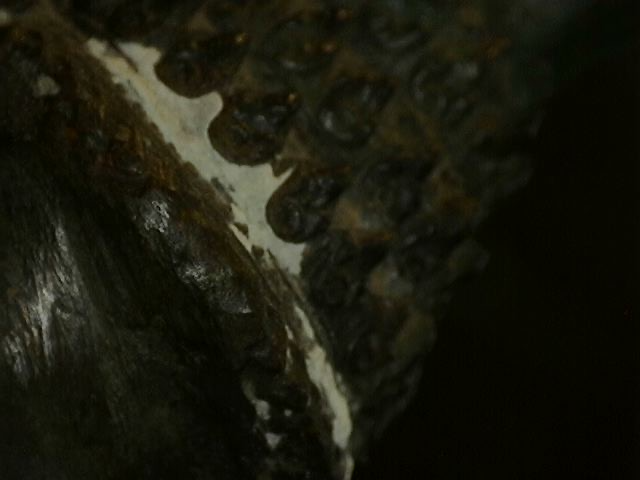 Microscope detail of mineral deposit on antique Thai bronze statue
