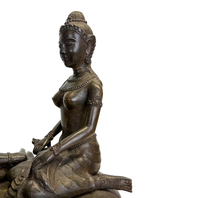 Luxury spiritual home decor Vishnu on brass snake