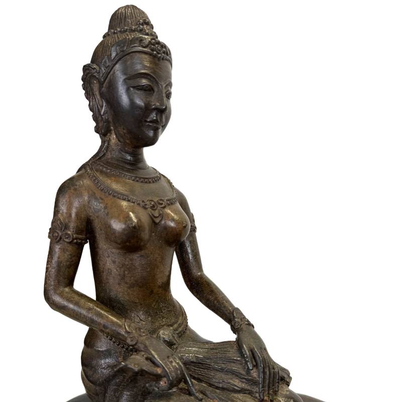 Mythological depiction of Vishnu and Lakshmi on the snake